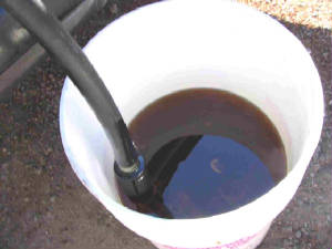 bucketforweb.JPG
