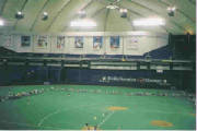 metrodome.jpg