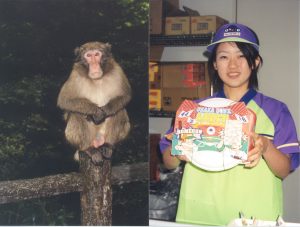 japanmonkeyandaboxlunch.jpg